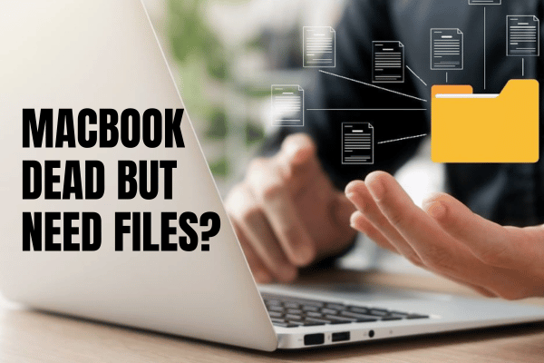 MacBook Dead But Need Files Malaysia