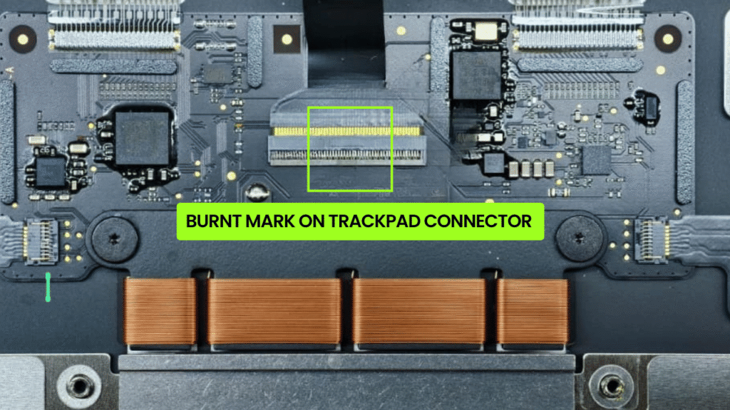 Trackpad Water Damaged