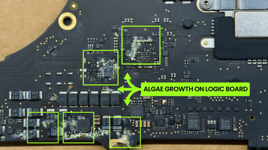 Water Damaged Logic Board